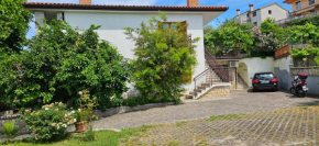 Apartment Laguna 30,31